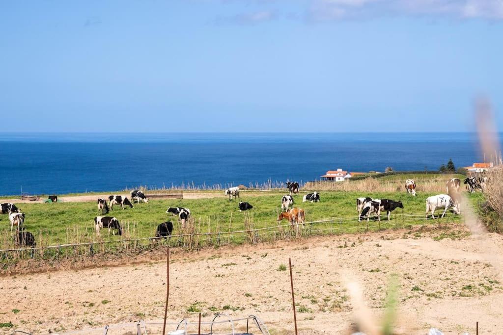 Country House In Azores - S. Miguel Рібейра-Гранде Екстер'єр фото